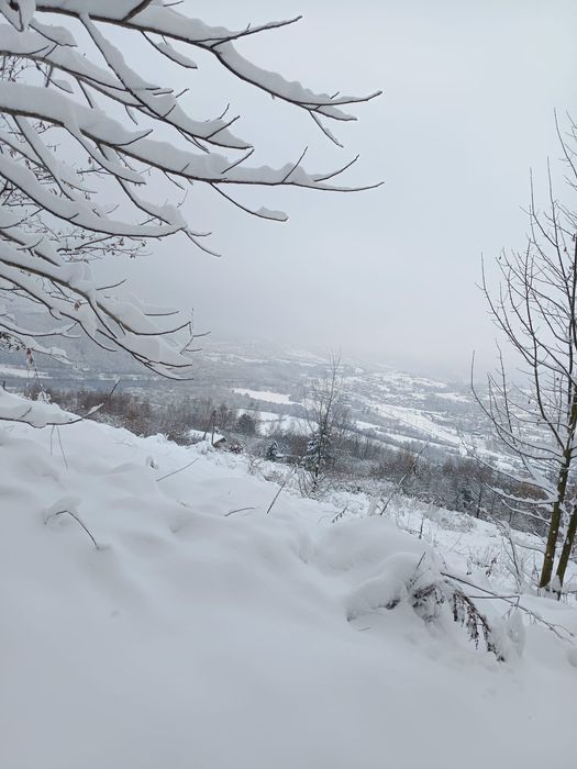 Działka rolna Marcinkowice Łazy
