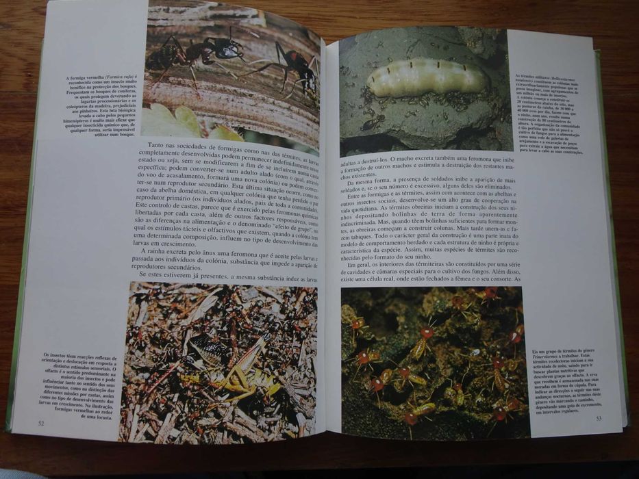 Os Segredos da Natureza - Artrópodes Terrestres