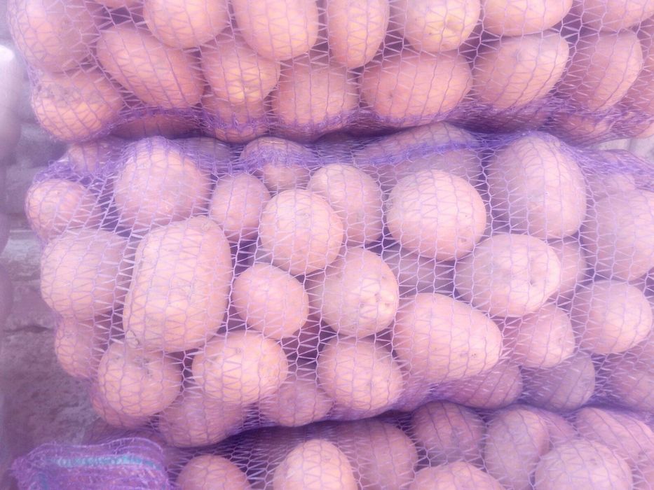 Продам картоплю !!!