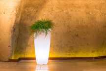 Vasos com luz varias cores