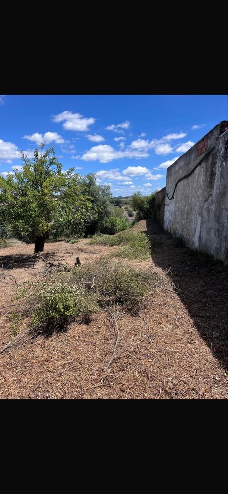 Vendo Terreno Torres Novas