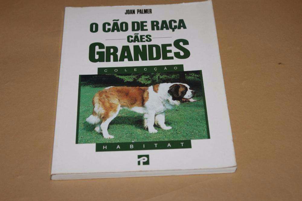 Vários Autores 06