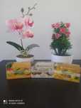 Sabonetes com cheiro