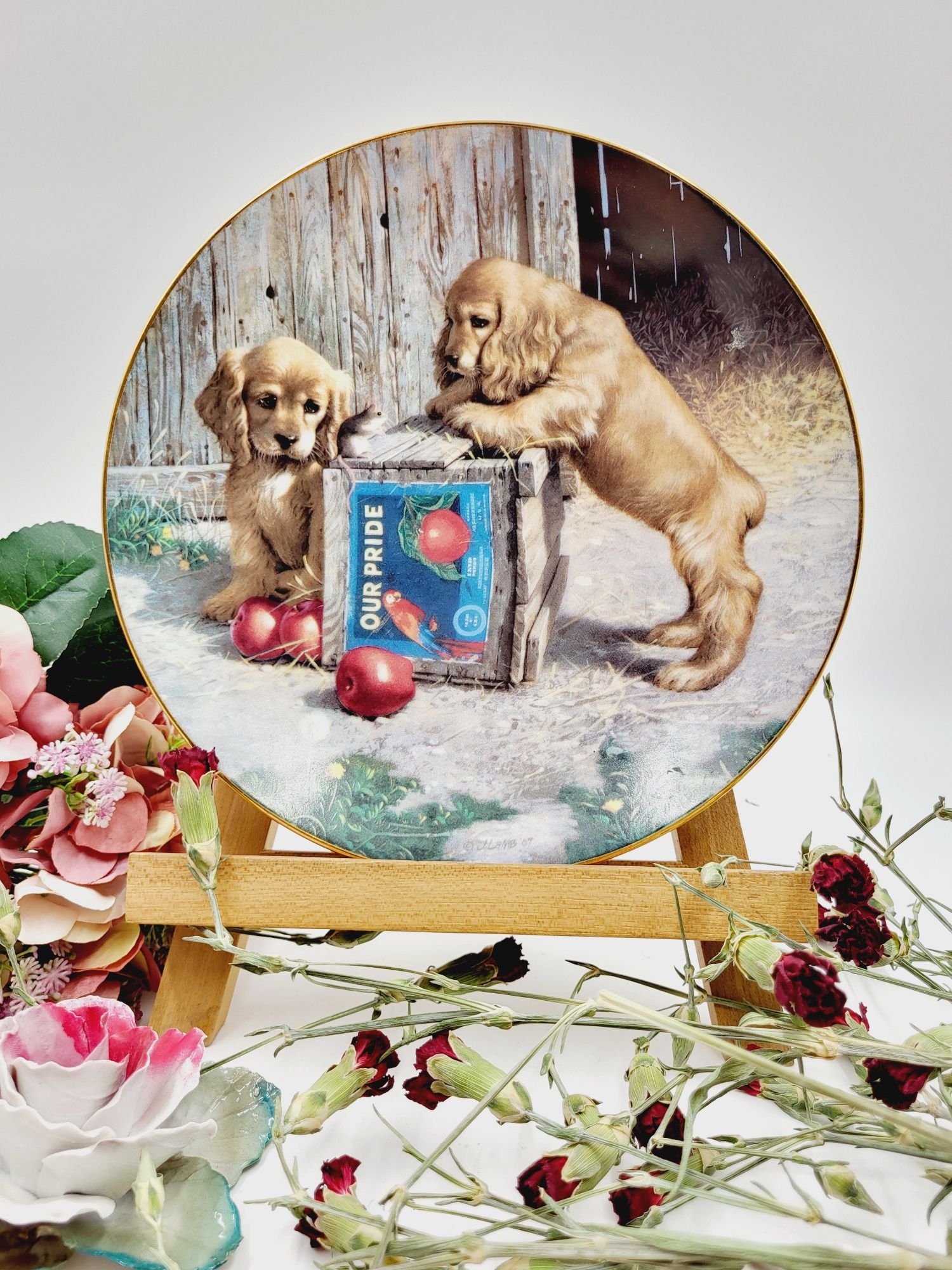 Ładny dekoracyjny porcelanowy talerz z motywem psów