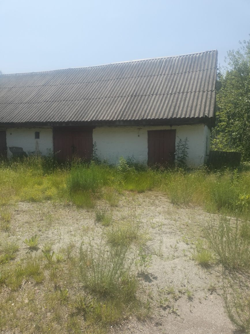 Продаж будинку в селі Левків