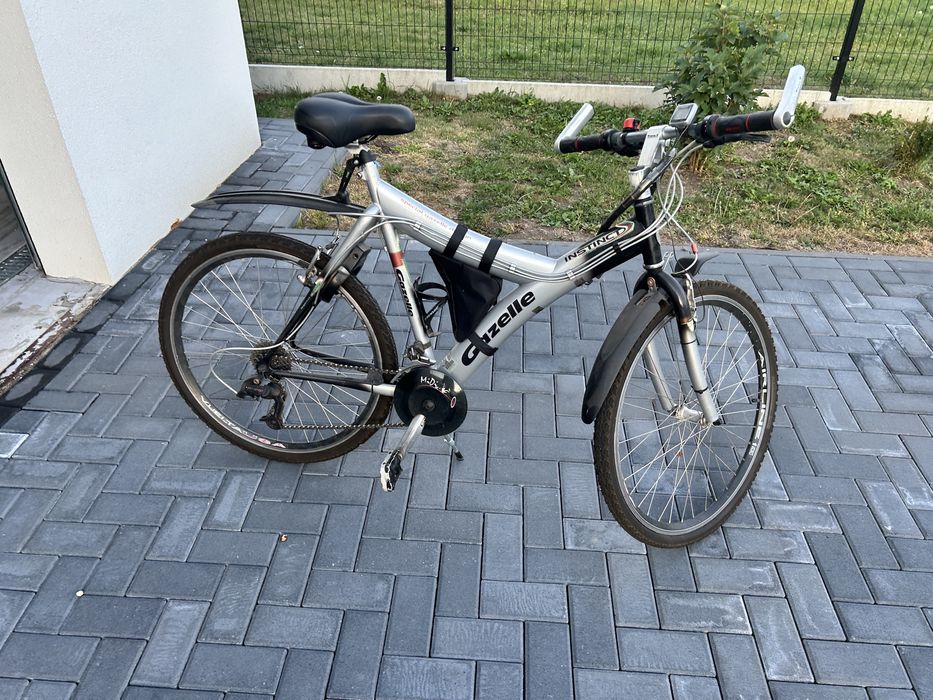 Rower Gazelle Instinct 26”