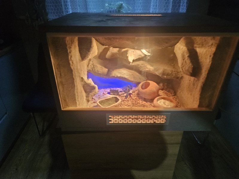 Terrarium z wyposażeniem