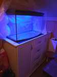 Akwarium tetra 100litrow +akcesoria
