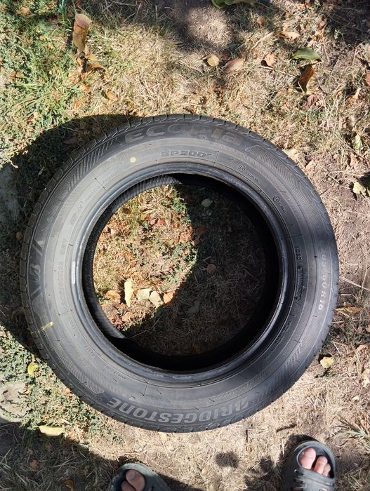 Продам летние скаты