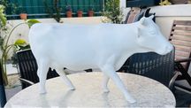 Lote de 3 vacas chacota de grrande dimensao