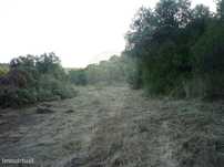 Terreno  para venda