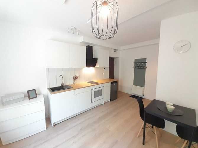 Wynajmę studio przyjazne zwierzętom, Tomasza 5, BRAK PROWIZJI