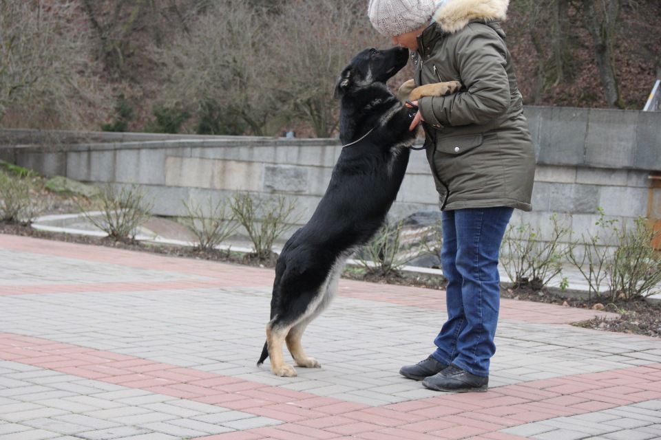 ВЕО - самый лучший друг