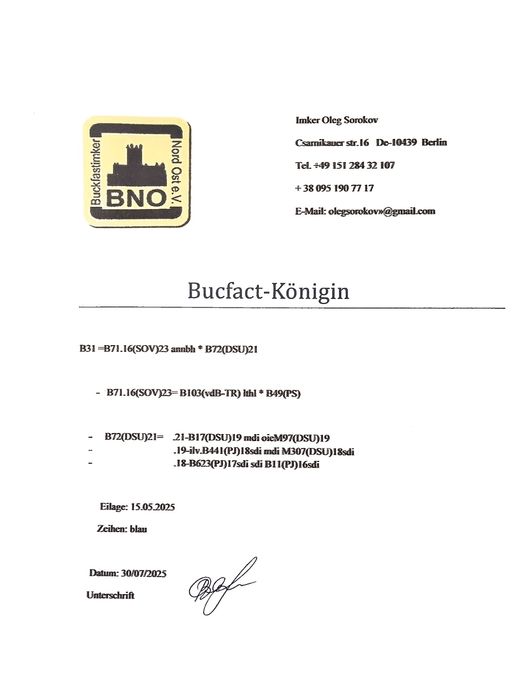 Бакфаст . Бджолопакети, матки.