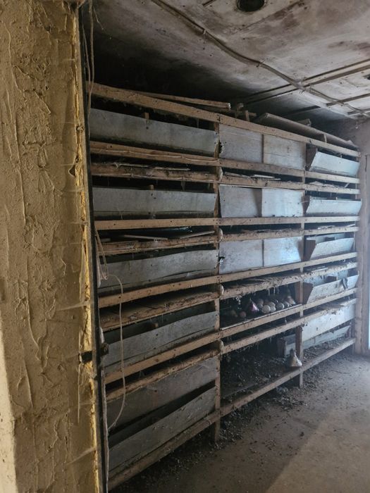 Обладнання для перепелиної ферми