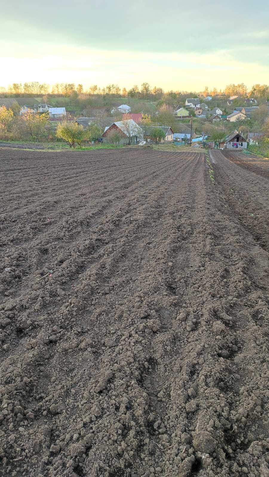 Земельна ділянка ОЖБ ( 25 сот ), з знесеним будинком с. Неслухів