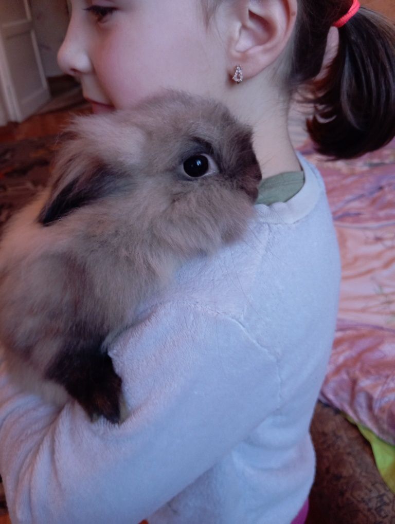 Кролик с клеткой