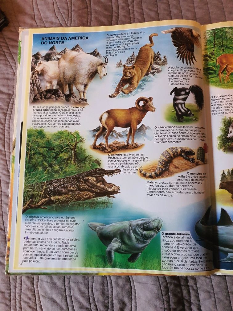Livro Atlas dos Animais