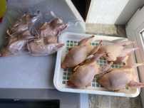 Перепілки перепел мясо домашнє мʼясо домашня продукція