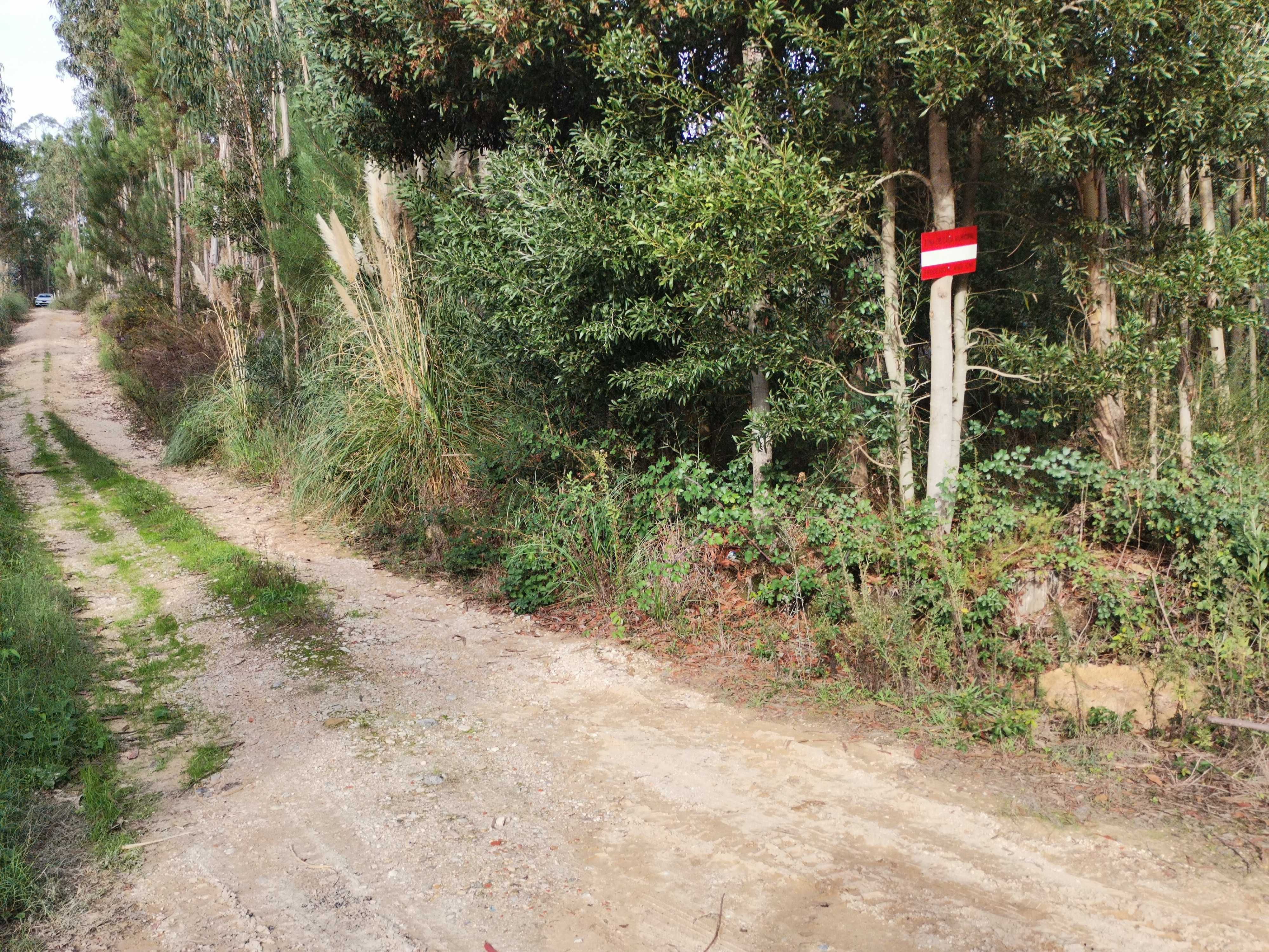 Terreno em área urbana