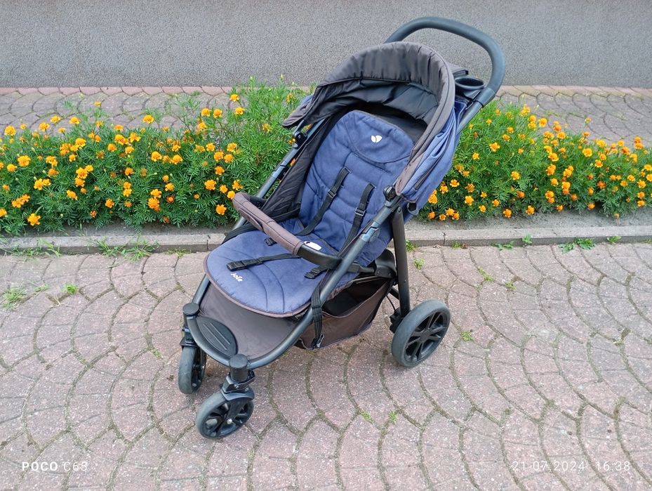 Spacerówka Jole Litetrax - zobacz!