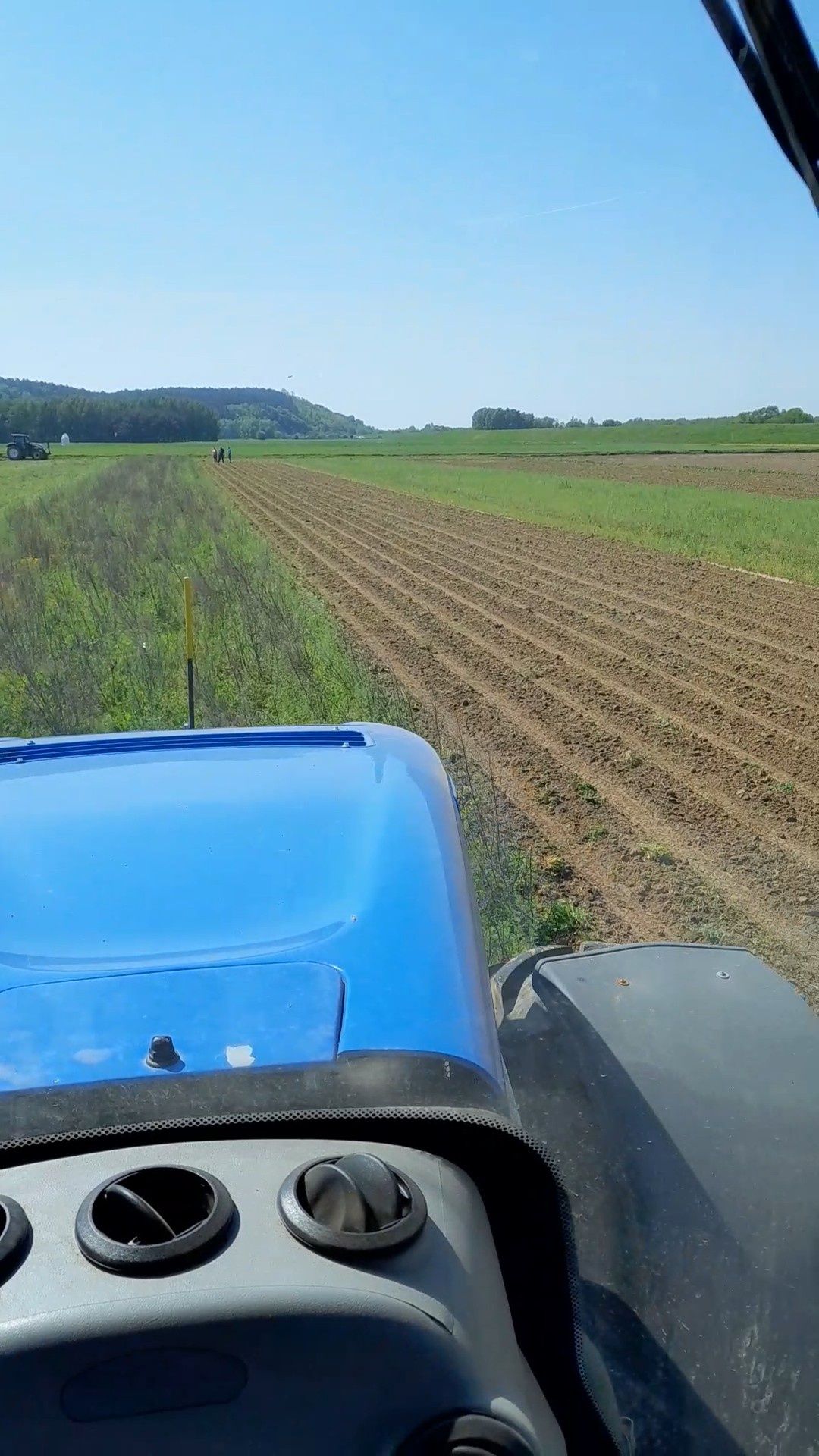 Siew Pasowy rzepaku, Strip Till, TYGRYS Vaderstad Tempo.