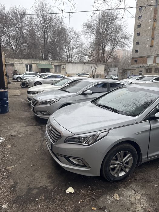 Сдам машины в аренду