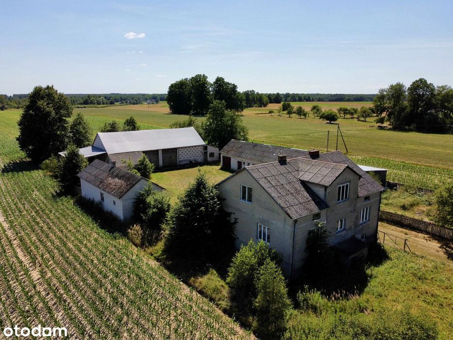 ☀️ Siedlisko  z potencjałem/ Dom budynki gospodarcze /Agroturystyka ☀️