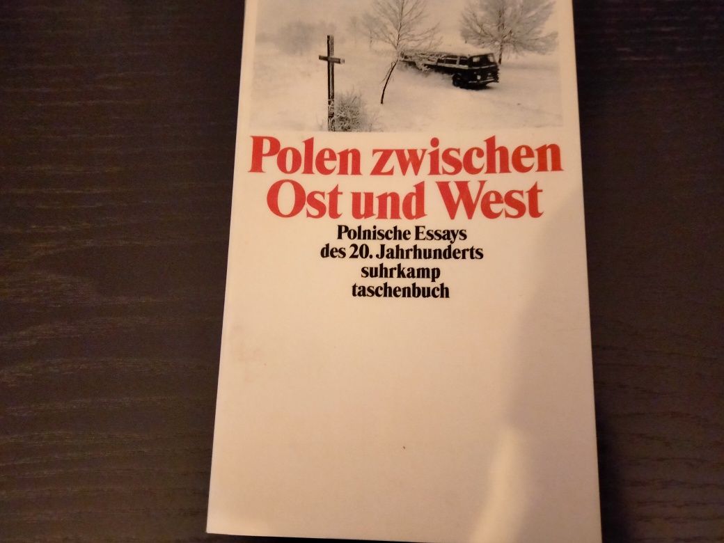 Polen zwischen Ost und West eseje