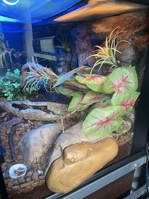 Terrarium Exo-Terra 60x45x45 + wyposażenie