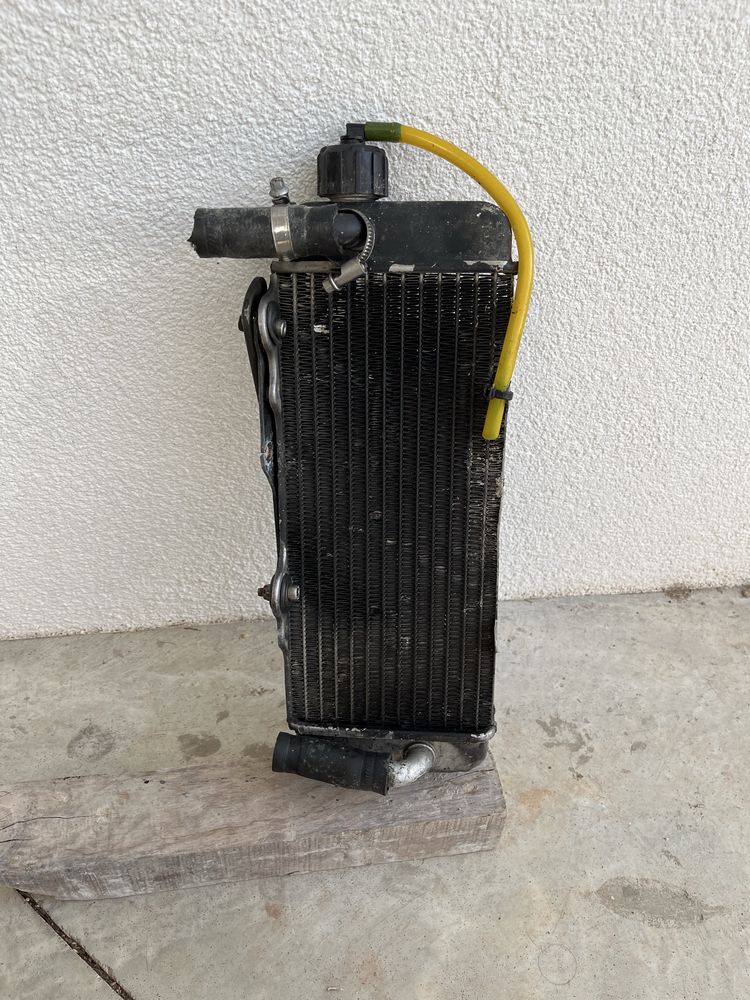 Motor rotax max 125cc