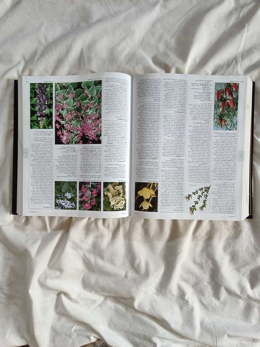 Livro - The Royal Horticultural Society - portes incluídos