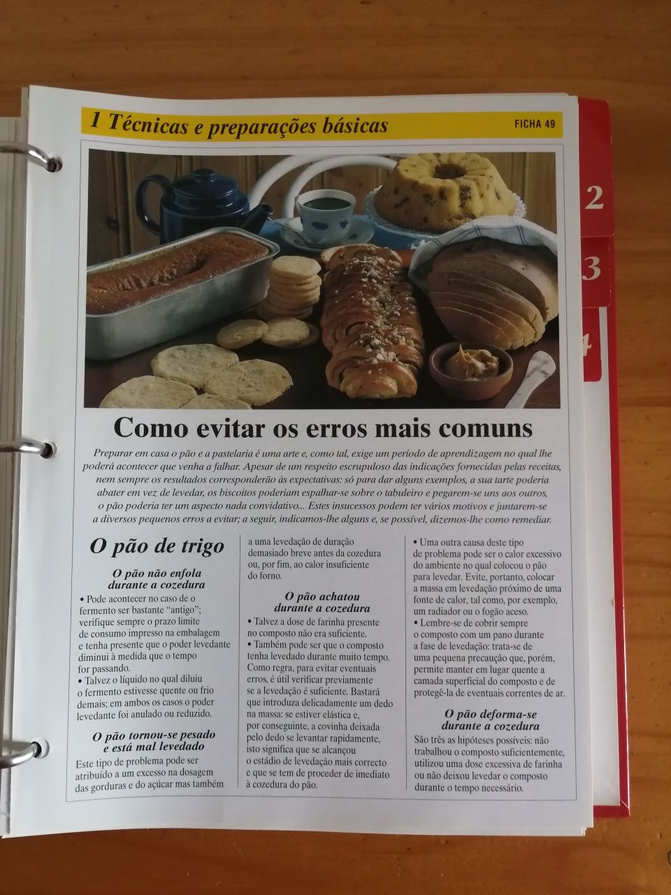 Dossier de receitas - Cozinhar com fantasia (+ de 300 RECEITAS)