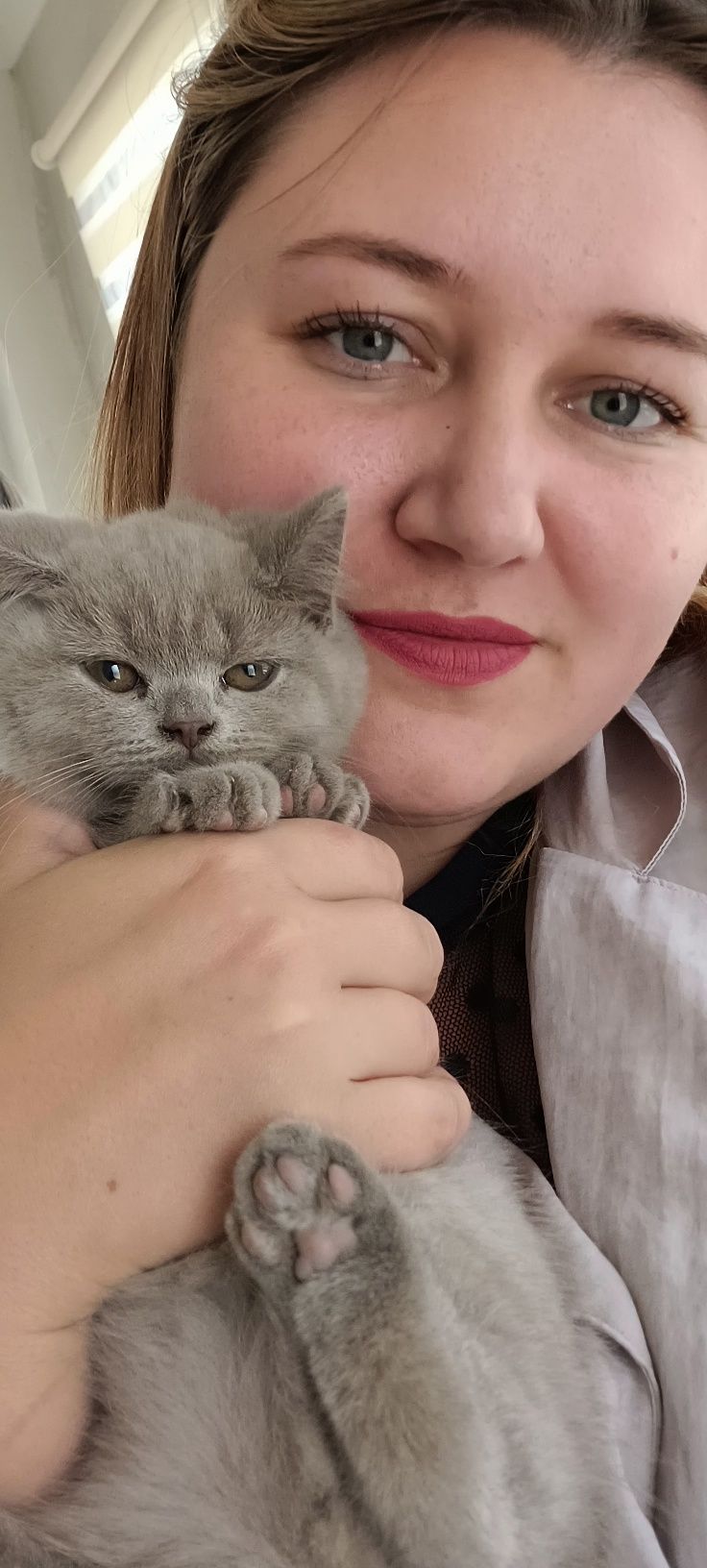 Висловухі кошенята