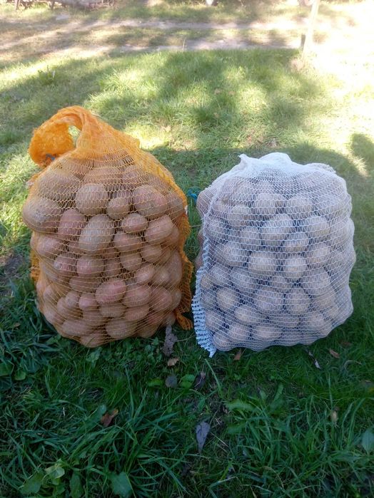 ziemniaki na oborniku Anielka