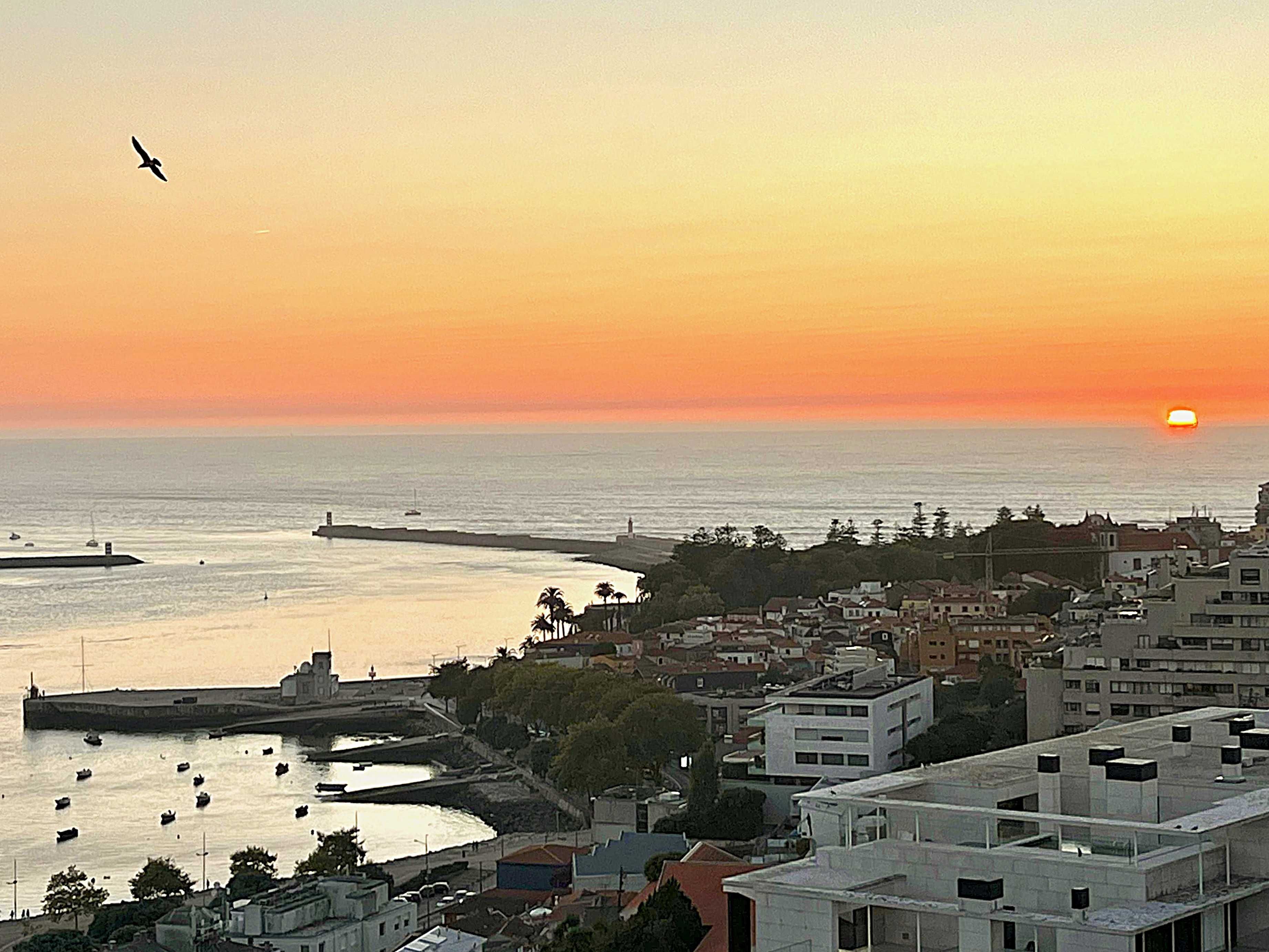 Apartamento com 2 quartos, com a melhor vista da Foz do Douro e o mar.