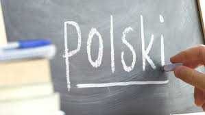 Język polski-profesjonalne przygotowanie do nowej matury, korepetycje;