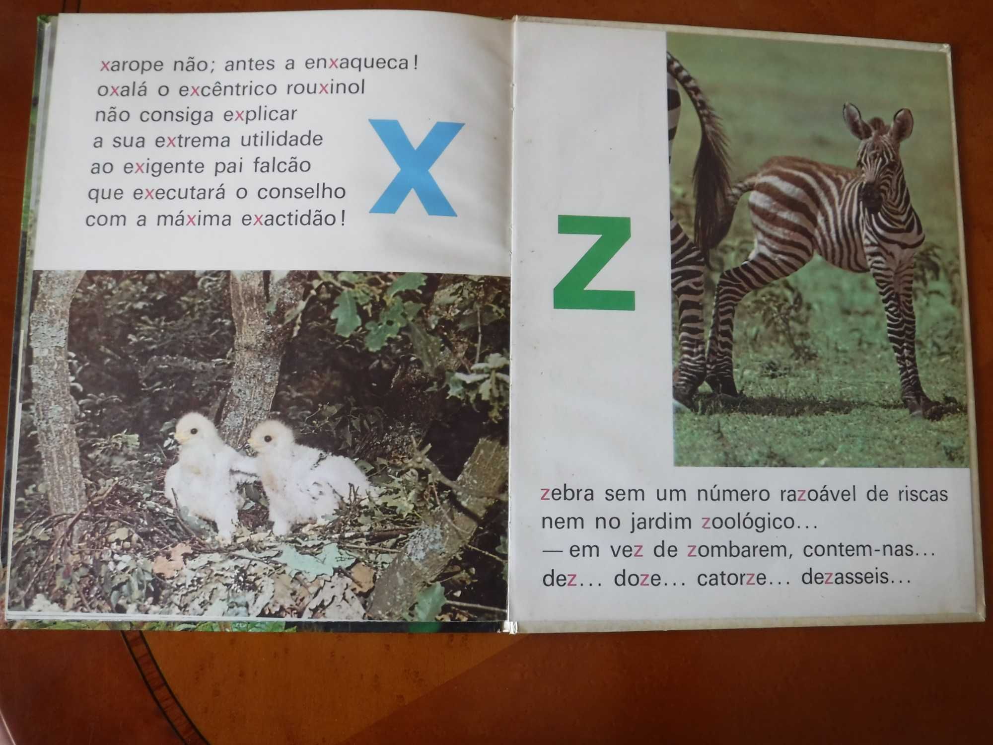 ABC dos Animais Bravios - Para aprender as letras e a ler - 1980