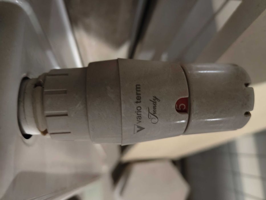 Grzejnik dwupłytowy ścienny z zaworem termostatycznym