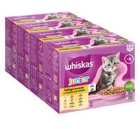 Megapakiet Whiskas Junior w saszetkach, 36 x 85 g(nr42)