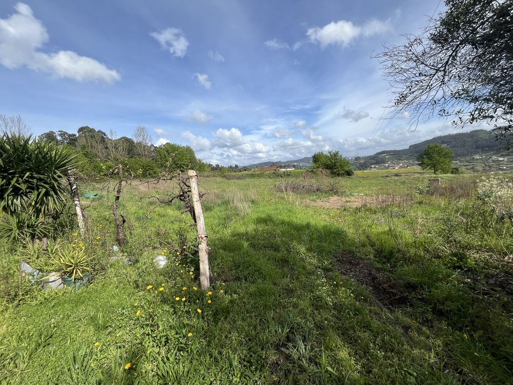 Terreno em Gémeos - Guimarães