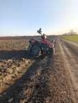 Bashan BS250S-24