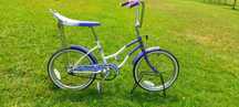 Schwinn Pinnacole roda 20