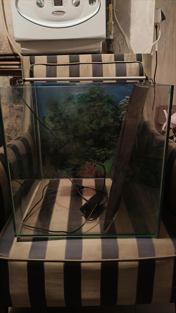 Akwarium 40x40x40 6mm + lampa 25W, tło, podkładka i grzałka