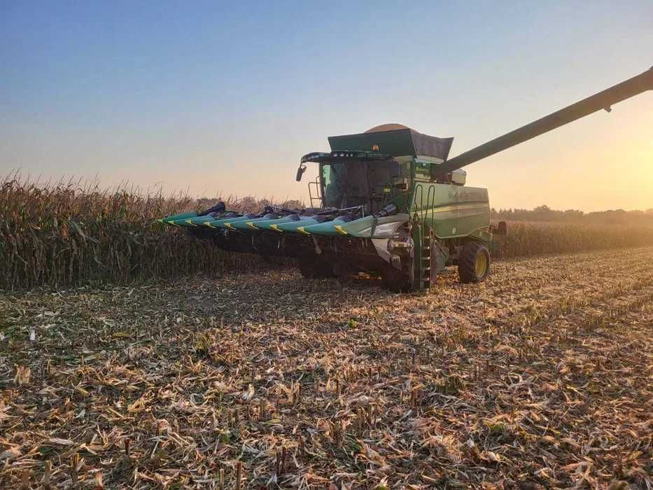 koszenie kukurydzy i skup kukurydzy