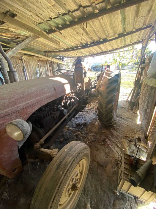 Trator ferguson com documentos