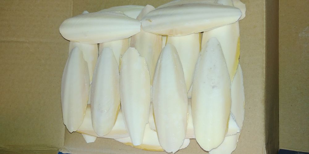 Сепія натуральна(панцир каракатиці,сепия,панцирь карака