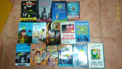 VENDIDOS EM SEPARADO Livros Lowcost Lote 21 PS Entrega IMEDIATA Barato