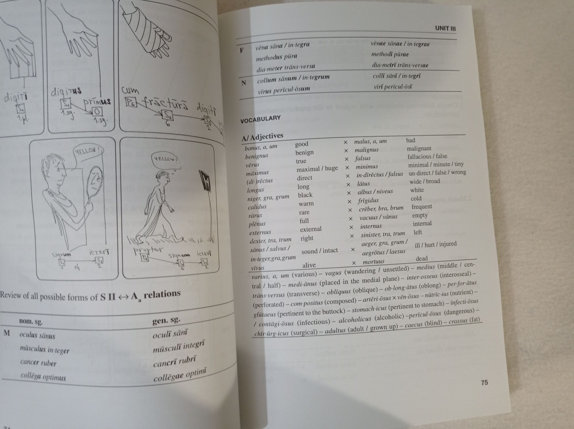 An introduction to Greco-Latin medical terminology - Dana Svobodová