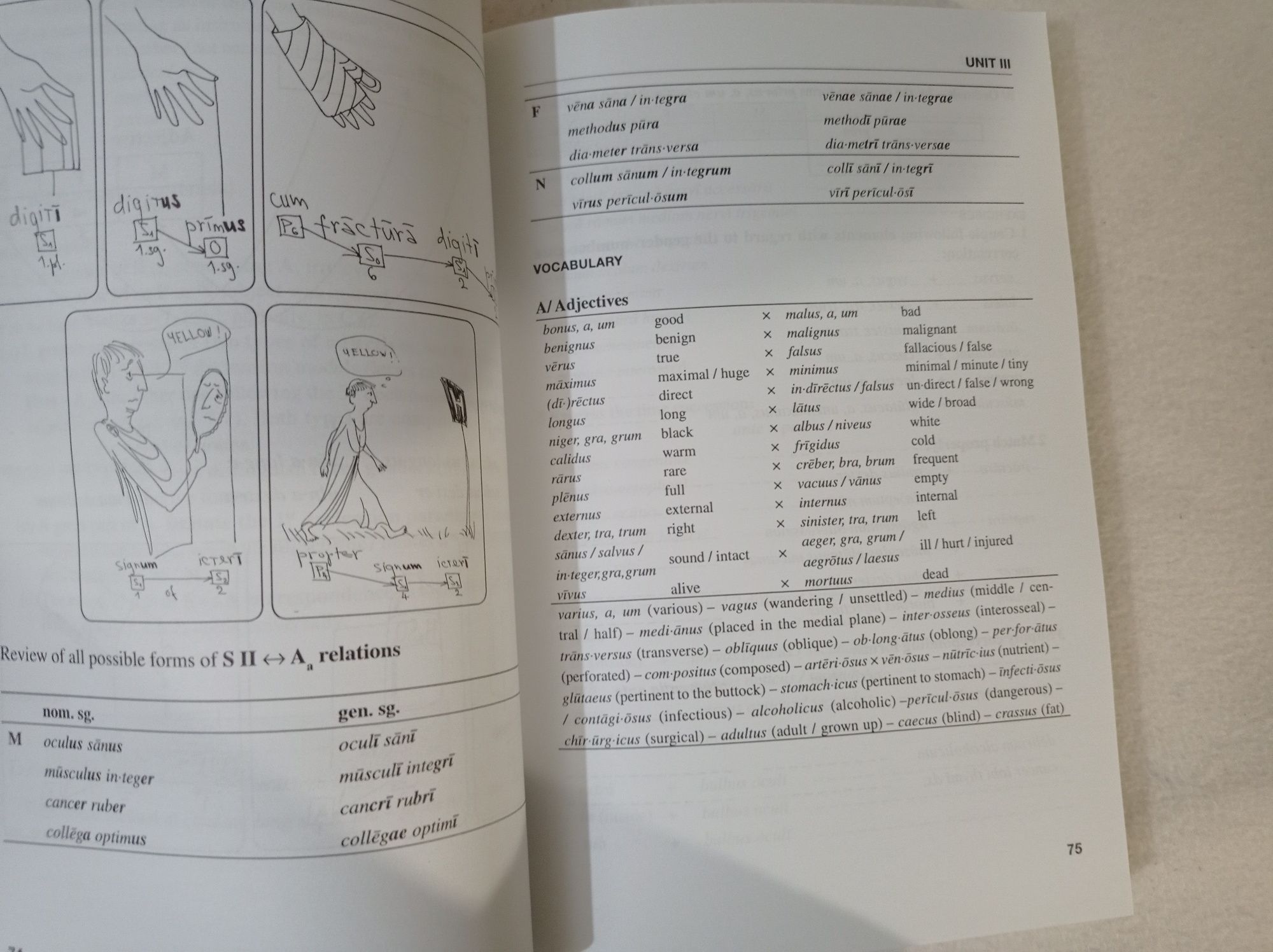 An introduction to Greco-Latin medical terminology - Dana Svobodová